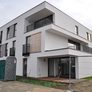 56 assistentiewoningen - Herzele/Denderhoutem