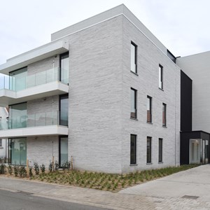 Asterias - De Panne (BE)