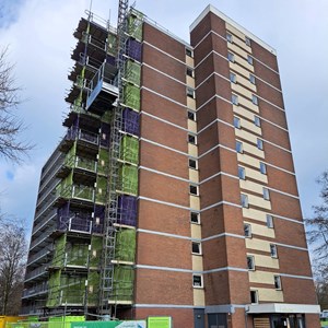 Vogelbuurt op groen - Vlaardingen