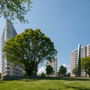 De Amazones - Den Bosch De Amazones - Den Bosch