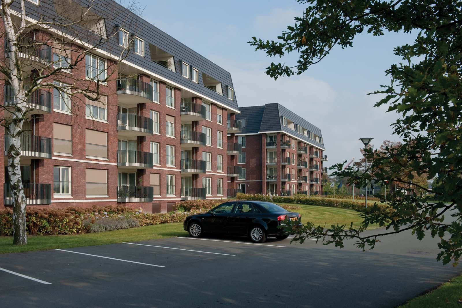 Zuiderhout - Teteringen