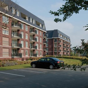 Zuiderhout - Teteringen