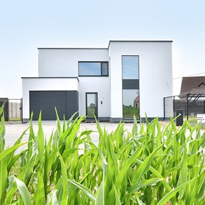 Villa Oeselgem 